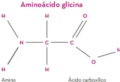 Estructura química de la glicina (aminoácido): grupo amino ($NH_{2}$) y grupo ácido carboxílico ($COOH$) unidos a un carbono central con dos hidrógenos.
