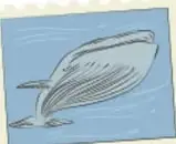 Ilustración de un pez o ballena azul.