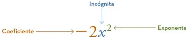 Esquema del término $2x^{2}$ con flechas que señalan coeficiente, incógnita y exponente.