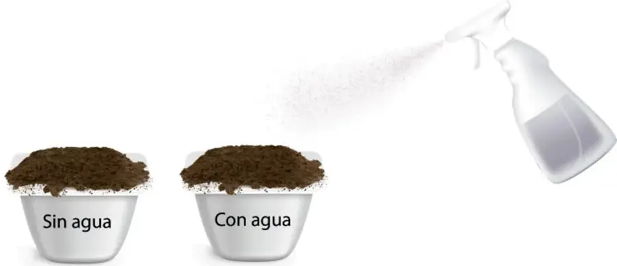 Un atomizador rocía agua sobre el recipiente "Con agua".