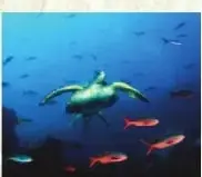 Fotografía de la silueta marítima de la Costa ecuatoriana, con playas, vegetación, acantilados y aguas del océano Pacífico.