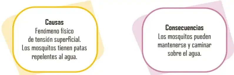 Figura 2 de Nuestros saberes: Libro para alumnos, maestros y familia. Libro de Educación Primaria Grado 3° Ciclo Escolar 2025 - 2026