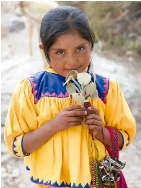 Fotografía de una niña indígena de cabello negro largo, con vestido amarillo tradicional adornado con galones azules y rojos, sosteniendo con ambas manos un pequeño objeto artesanal o floral. Aparece en un entorno natural al aire libre.