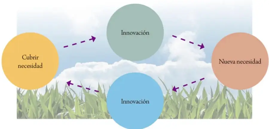 Diagrama de cuatro círculos sobre un fondo de cielo y pasto: 'Cubrir necesidad' (amarillo), 'Innovación' (verde), 'Nueva necesidad' (rosa) e 'Innovación' (azul), conectados por flechas discontinuas moradas que forman un ciclo.