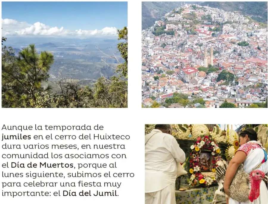 Paisaje de montañas y valle visto desde un cerro, con pinos y nubes.