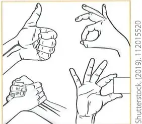 Dibujo de varias posiciones de la mano humana, que representa la variedad de movimientos posibles gracias a los dedos y al pulgar.