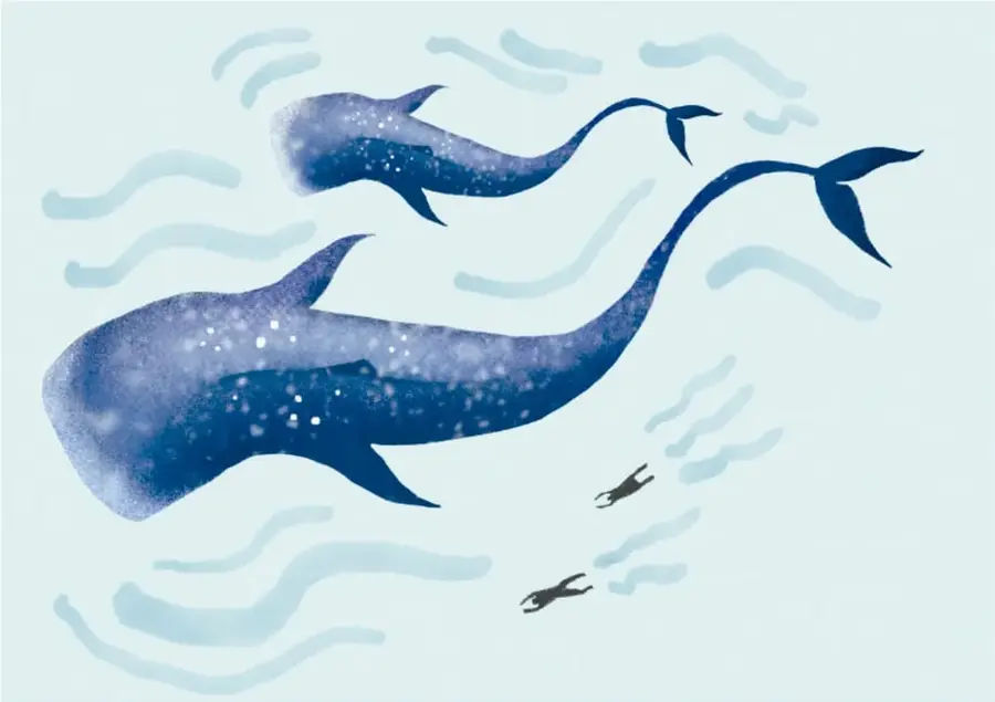 Ilustración de dos ballenas azules con moteado blanco nadando junto a dos pequeños buceadores en un mar claro con ondas.