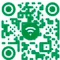 Logo verde de la colección Nanahuatzin con el número de página 222.