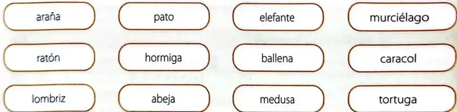 Lista de doce animales para clasificarlos como vertebrados o invertebrados.