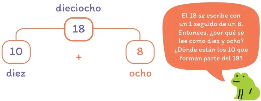 Esquema de número conectado del 18 = 10 + 8, con los nombres 'dieciocho', 'diez' y 'ocho'.