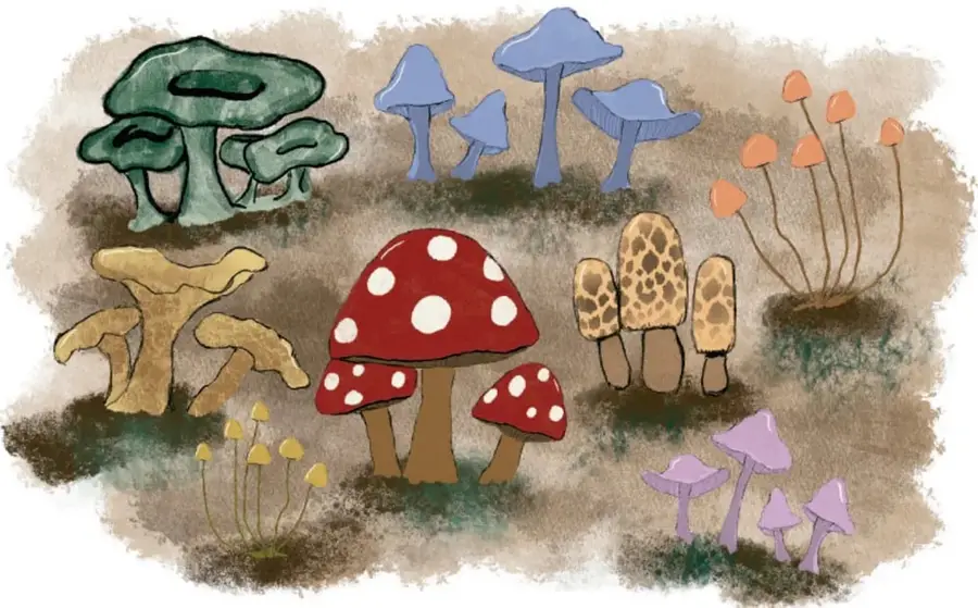 Ilustración de diversos hongos de colores: verdes, azules, rojos con puntos blancos, cafés, naranjas y morados.