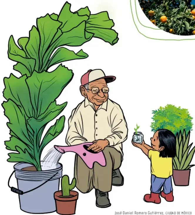 Un abuelo con gorra riega una gran planta en maceta con una regadera rosa, junto a un cactus en maceta; una niña con playera amarilla sostiene un frasquito con una plántula junto a otra planta. Ilustración de José Daniel Romero Gutiérrez, Ciudad de México.