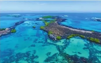Fotografía aérea de una isla de Galápagos rodeada de aguas marinas turquesas y arrecifes.