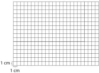 Rectángulo cuadriculado de 16 cm por 24 cm con marcas de 1 cm para representar la cobertura con cuadrados iguales.