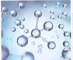 Figura 1 de Ciencias Naturales 8° · Egb 8 Ciencias Naturales 2025 · 2025