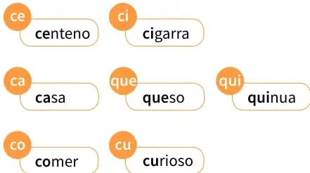 Actividad 6 con palabras cemento, cebolla, cebra y dibujo de una cebra.
