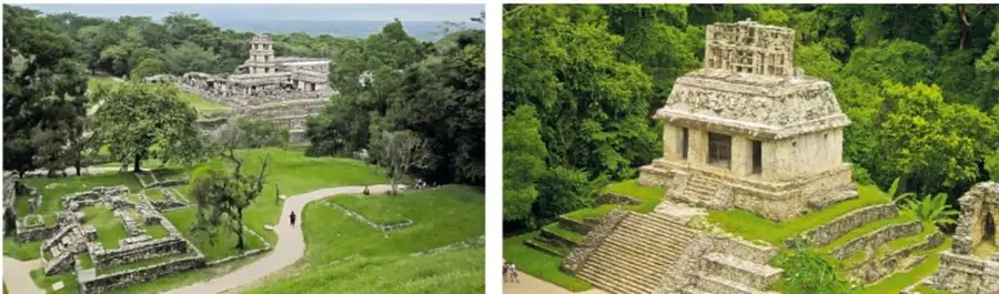 Vista aérea de las ruinas de Palenque rodeadas de césped y selva