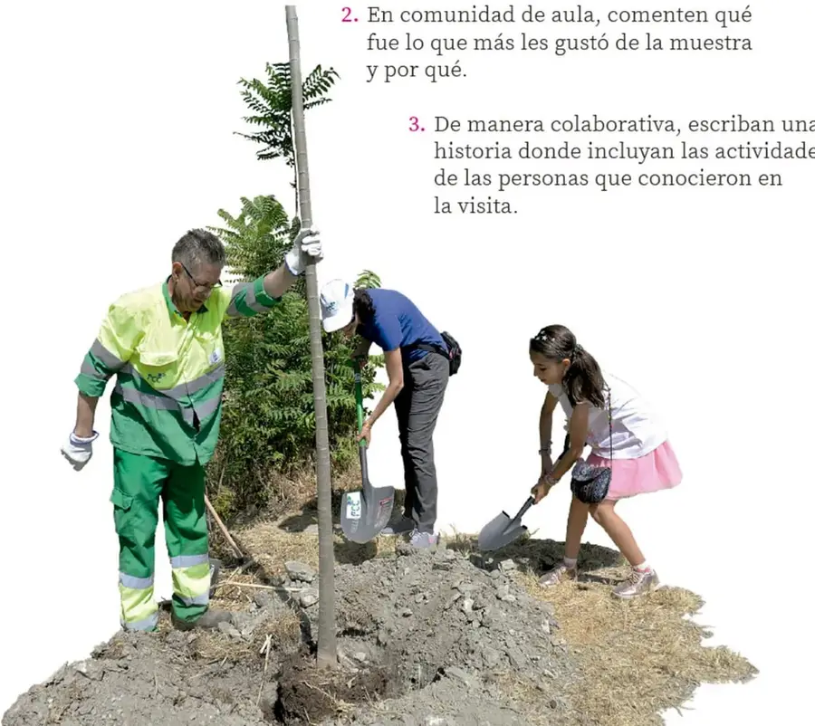 Trabajador de servicios públicos con uniforme verde y amarillo sosteniendo un poste, una mujer y una niña con palas sembrando un árbol en tierra.