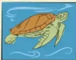 Ilustración de una tortuga marina nadando sobre fondo azul.