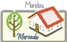Ilustración de un mercado con el texto 'Morelos' y 'Mercado'.