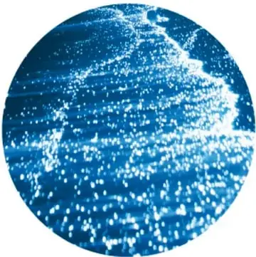 Círculo con una fotografía de olas del mar iluminadas con puntos azules brillantes, que representan plancton bioluminiscente.
