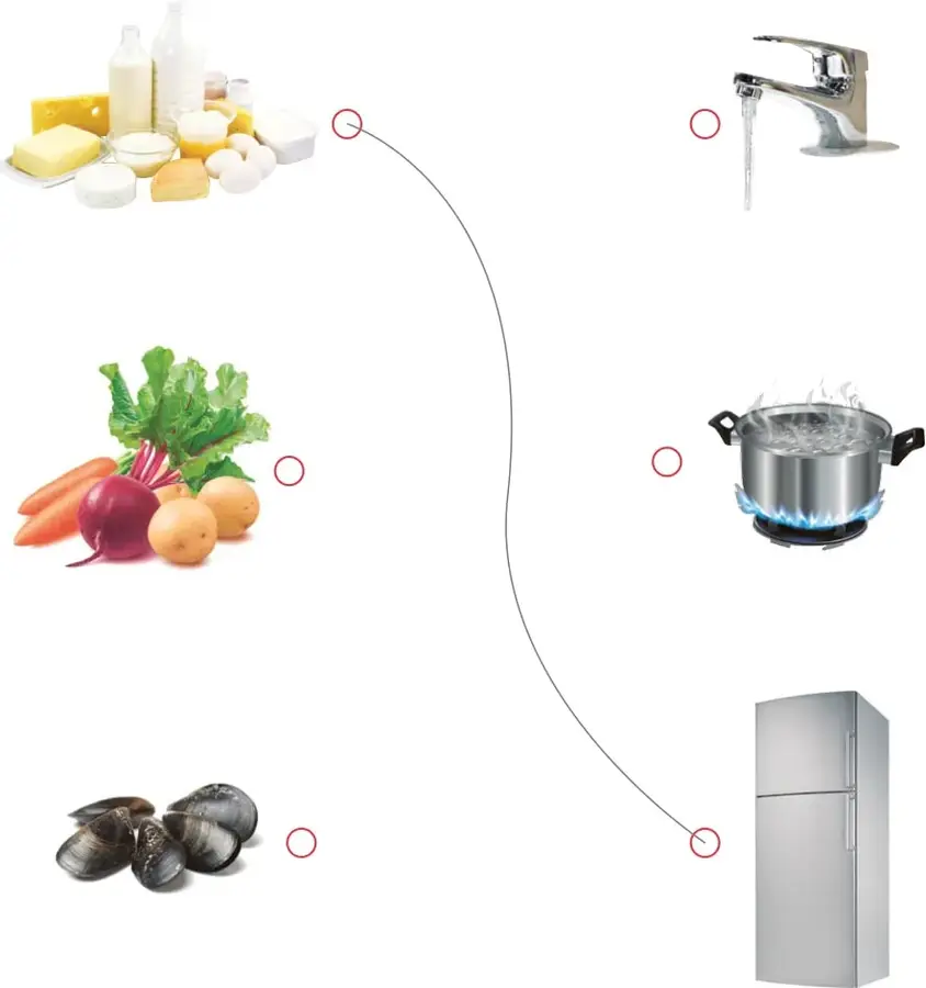 Lácteos: botellas de leche, trozos de queso, mantequilla y yogur.