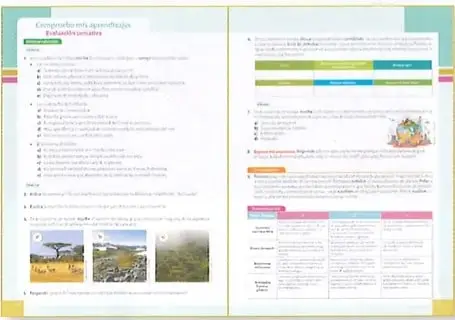 Figura 3 de Ciencias Naturales 9° · 2025