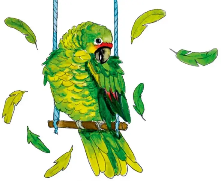 Periquito verde y amarillo posado en un columpio de madera con cuerdas azules; a su alrededor caen plumas verdes.