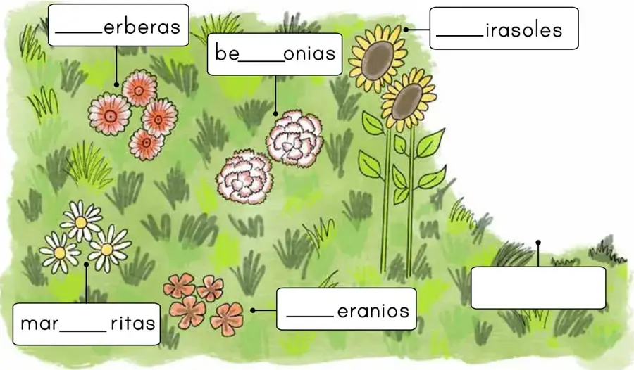 Jardín con cinco tipos de flores: gerberas rosadas, begonias blancas y rosadas, girasoles amarillos, margaritas blancas y geranios rojos, cada uno con un recuadro para completar su nombre.