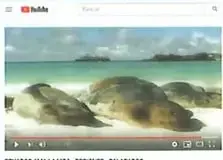 Recuadro de sugerencias para investigar sobre las plantas y los animales de Galápagos mediante un video.