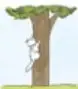 Ilustración de un árbol con un gato trepando.