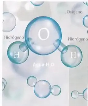 Figura 4 de Ciencias Naturales 10° · 2025