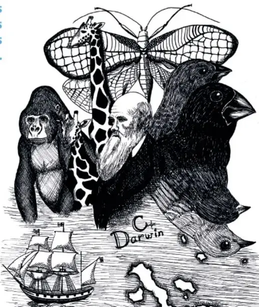 Composición artística en tinta: mariposa gigante, jirafa, gorila, un rostro evocando a Darwin y aves (pinzones) junto a un barco velero y las islas Galápagos, con la firma 'C. Darwin'.