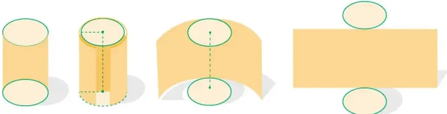 Lata cilíndrica con imagen de un pez, acompañada de su desarrollo plano: un rectángulo con la etiqueta y dos círculos rojos (tapas) conectados con líneas punteadas.