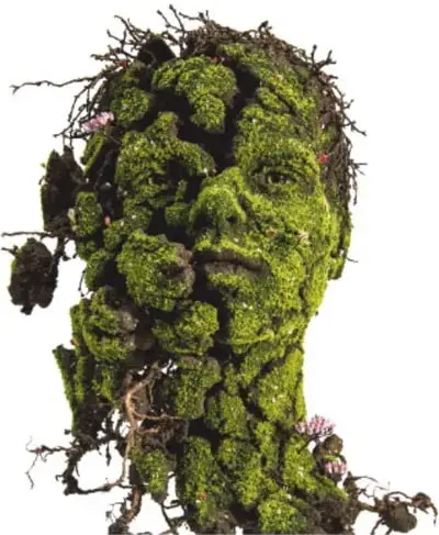 Escultura Niña (2018): rostro y torso humanos cubiertos de musgo verde, raíces y pequeñas flores secas.
