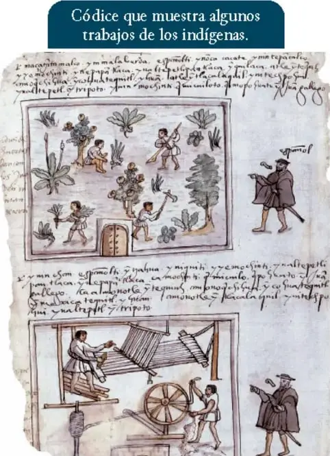 Códice que muestra algunos trabajos de los indígenas, con escenas de agricultura y textiles.