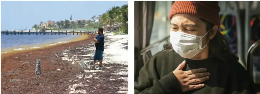 Playa contaminada con residuos y una persona observando el deterioro ambiental.
