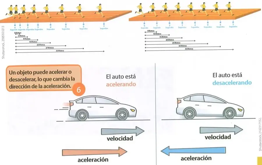 Figura 3 de Ciencias Naturales 8° · Egb 8 Ciencias Naturales 2025 · 2025