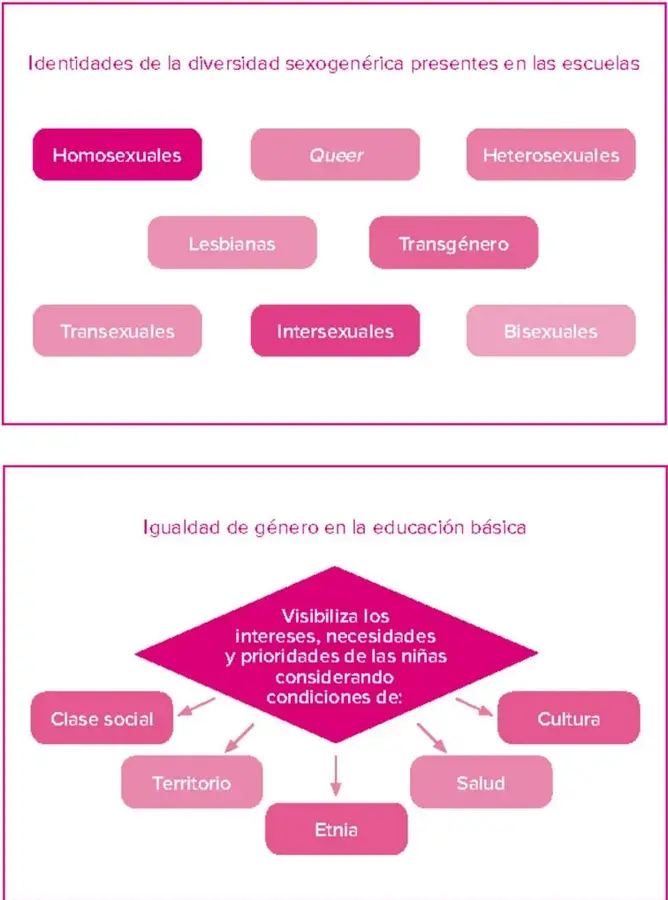 Marco rosa con ocho píldoras de colores rosas y magenta: homosexuales, queer, heterosexuales, lesbianas, transgénero, transexuales, intersexuales, bisexuales, bajo el título 'Identidades de la diversidad sexogenérica presentes en las escuelas'.