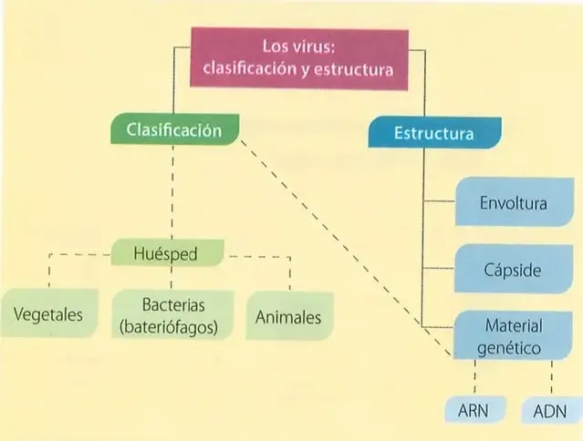 Figura 2 de Ciencias Naturales 10° · 2025