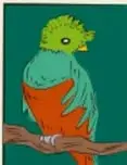 Ilustración de un ave verde y naranja posada sobre una rama.