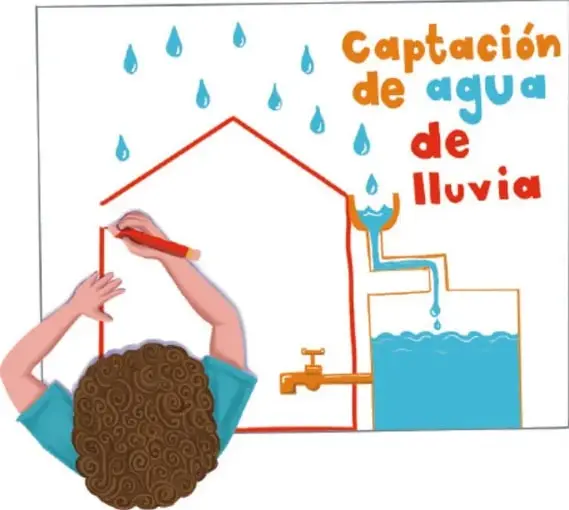 Figura 1 de Proyectos Escolares. Libro de Educación Primaria Grado 1° Ciclo Escolar 2025 - 2026