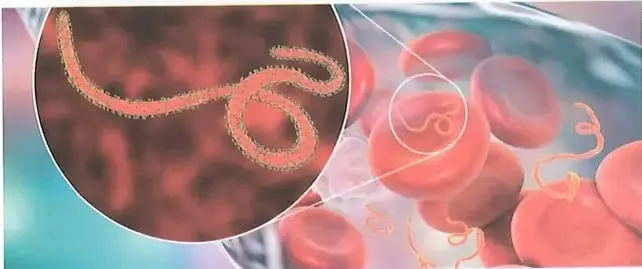Figura 3 de Ciencias Naturales 10° · 2025