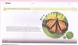 Figura 1 de Ciencias Naturales 8° · Egb 8 Ciencias Naturales 2025 · 2025
