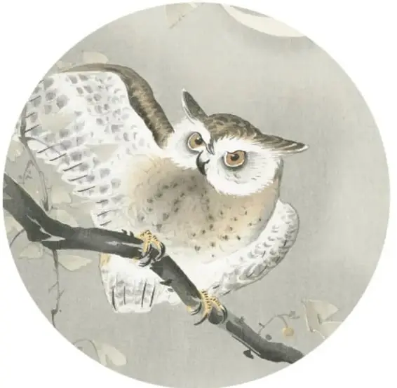Xilografía japonesa 'Búho chico en ginkgo' (1900-1930) de Ohara Koson: un búho de pecho claro y alas extendidas posado en una rama, con fondo gris.