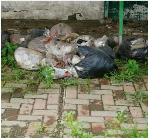 Fotografía de bolsas de basura acumuladas sobre un pavimento de ladrillo con vegetación entre las juntas, ejemplificando residuos y deterioro ambiental en un espacio urbano.