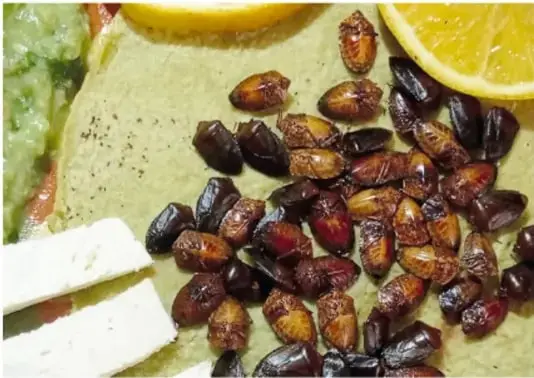 Jumiles asados y rojizos servidos en un platillo con queso en tiras, limón y guacamole. Crédito de la fotografía: Claudia Nayeli López Cambray, Estado de México.