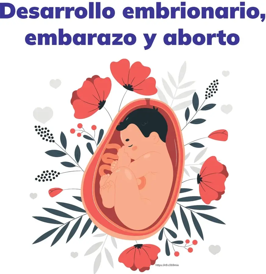 Título grande 'Desarrollo embrionario, embarazo y aborto' en azul oscuro.