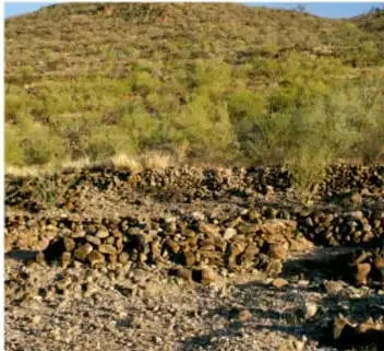 Fotografía de una ladera árida del Cerro de Trincheras (Sonora) donde se observan los muros de piedra de las terrazas construidas sin argamasa, con arbustos del desierto y cielo despejado.