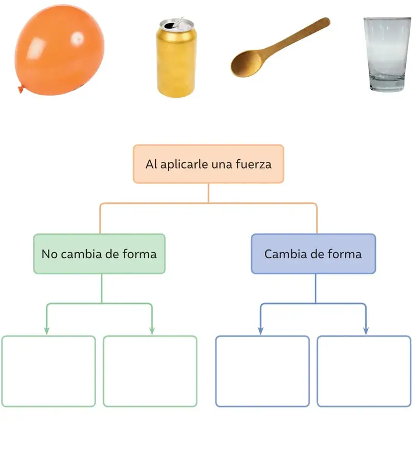 Figura 1 de Ciencias Naturales – Primero Básico | Texto del Estudiante (MINEDUC) – Descargar PDF · 2024